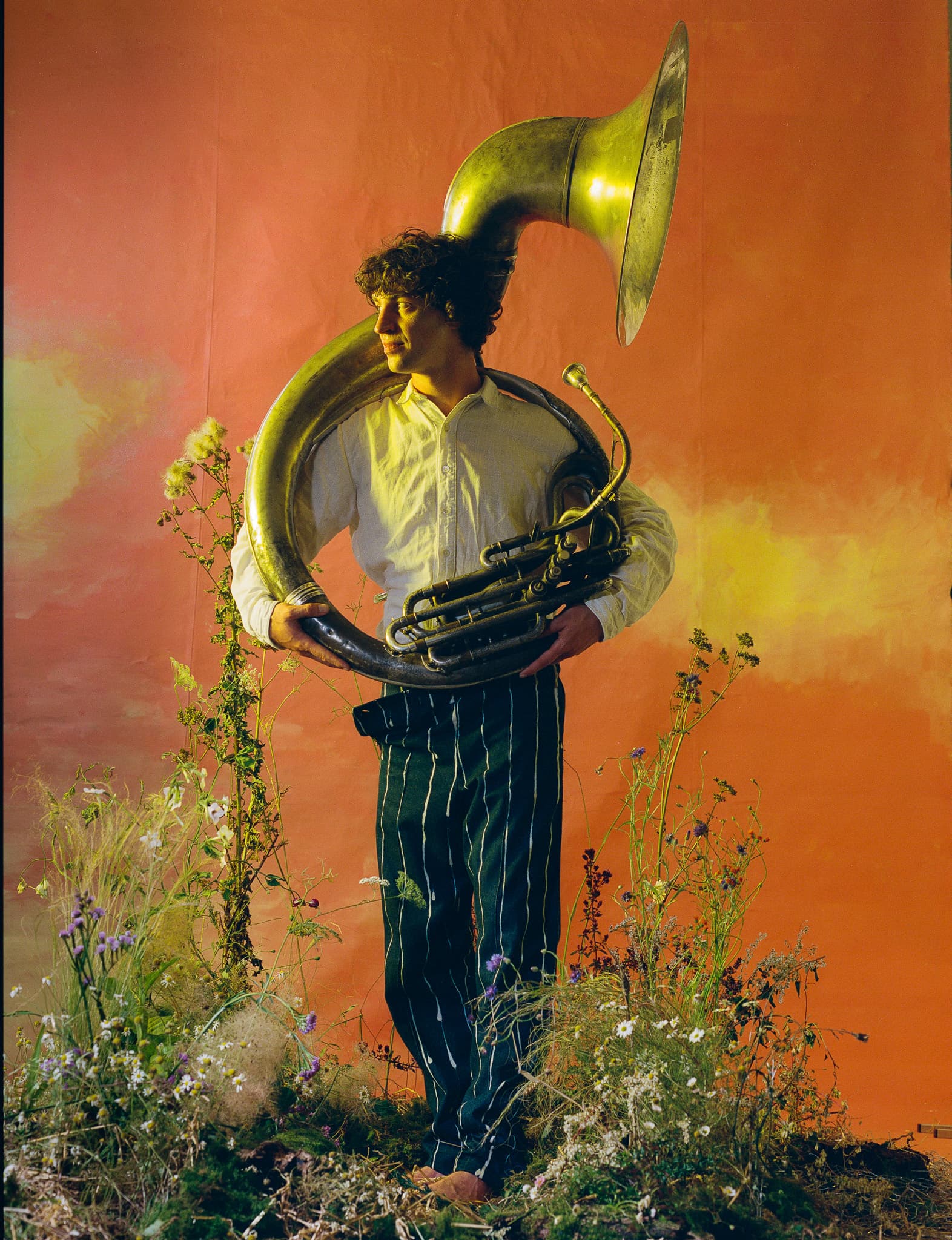 Cosmo Sheldrake image 6