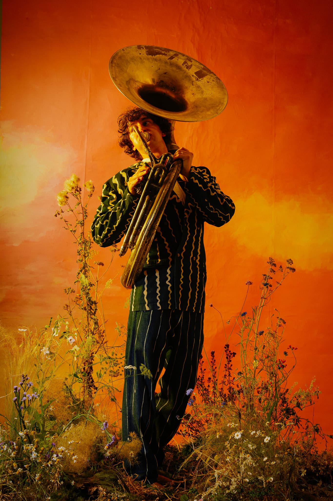 Cosmo Sheldrake image 2