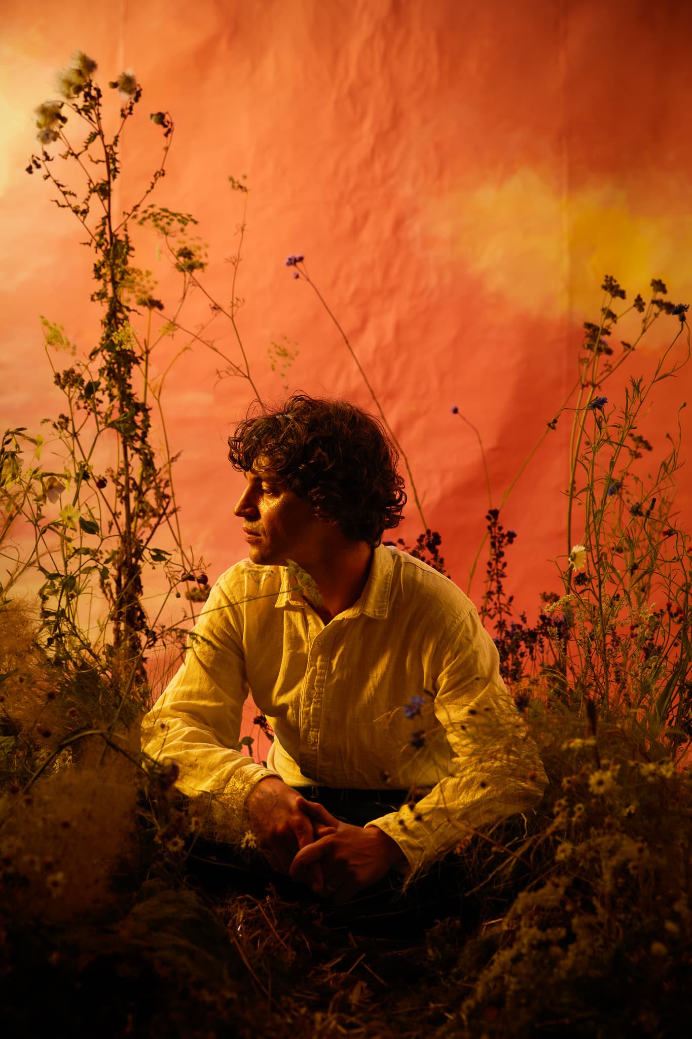 Cosmo Sheldrake image 3