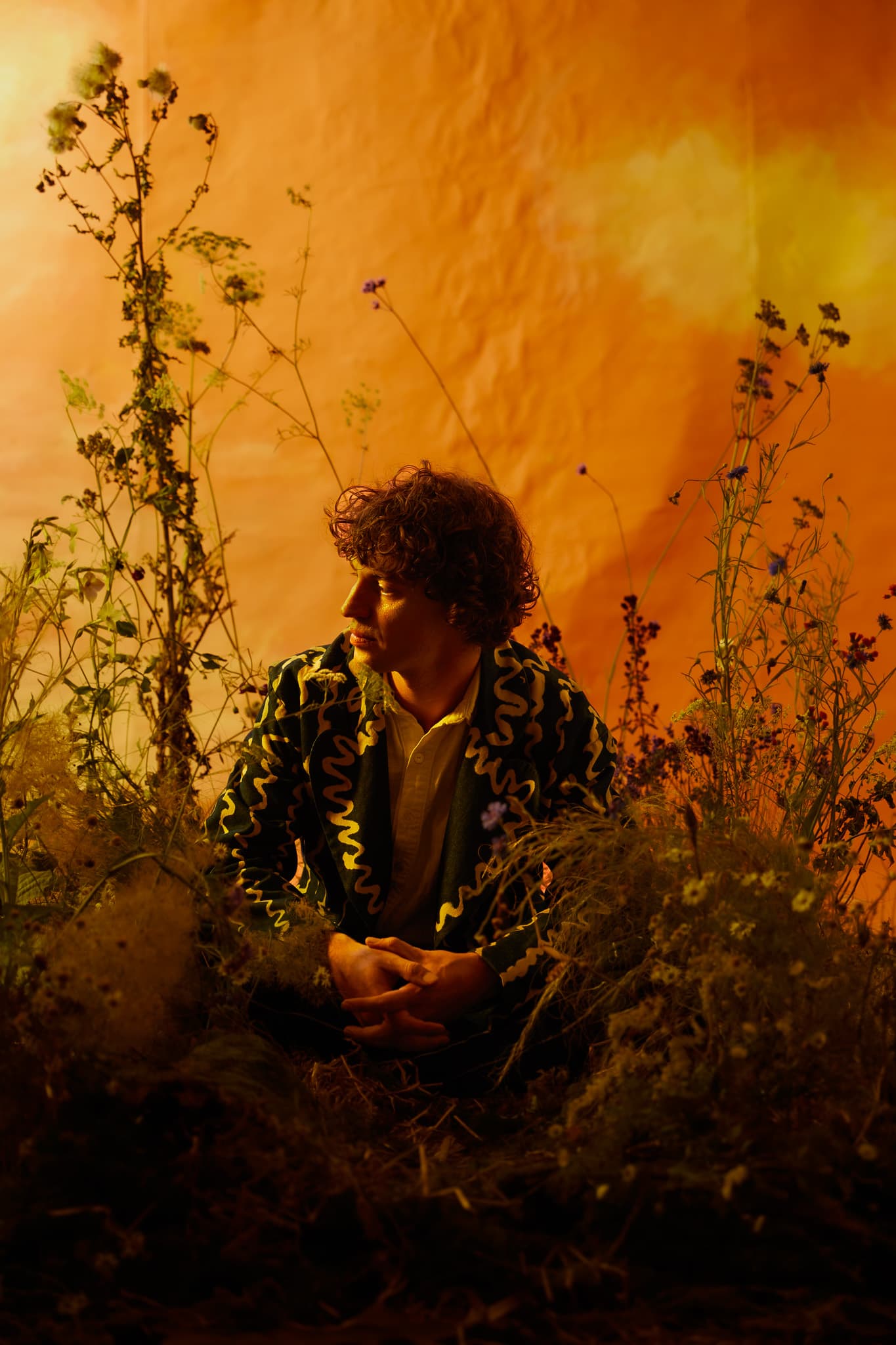 Cosmo Sheldrake image 4