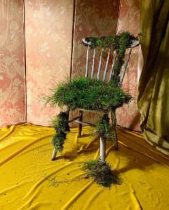 Land Art image 4