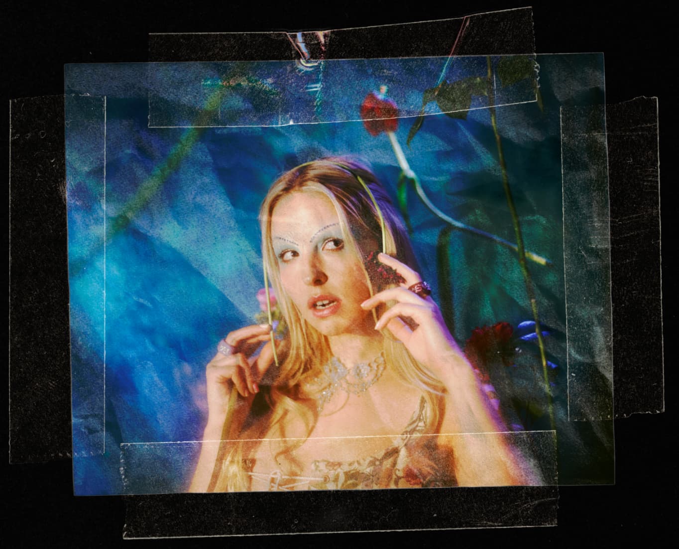 Laurel image 3