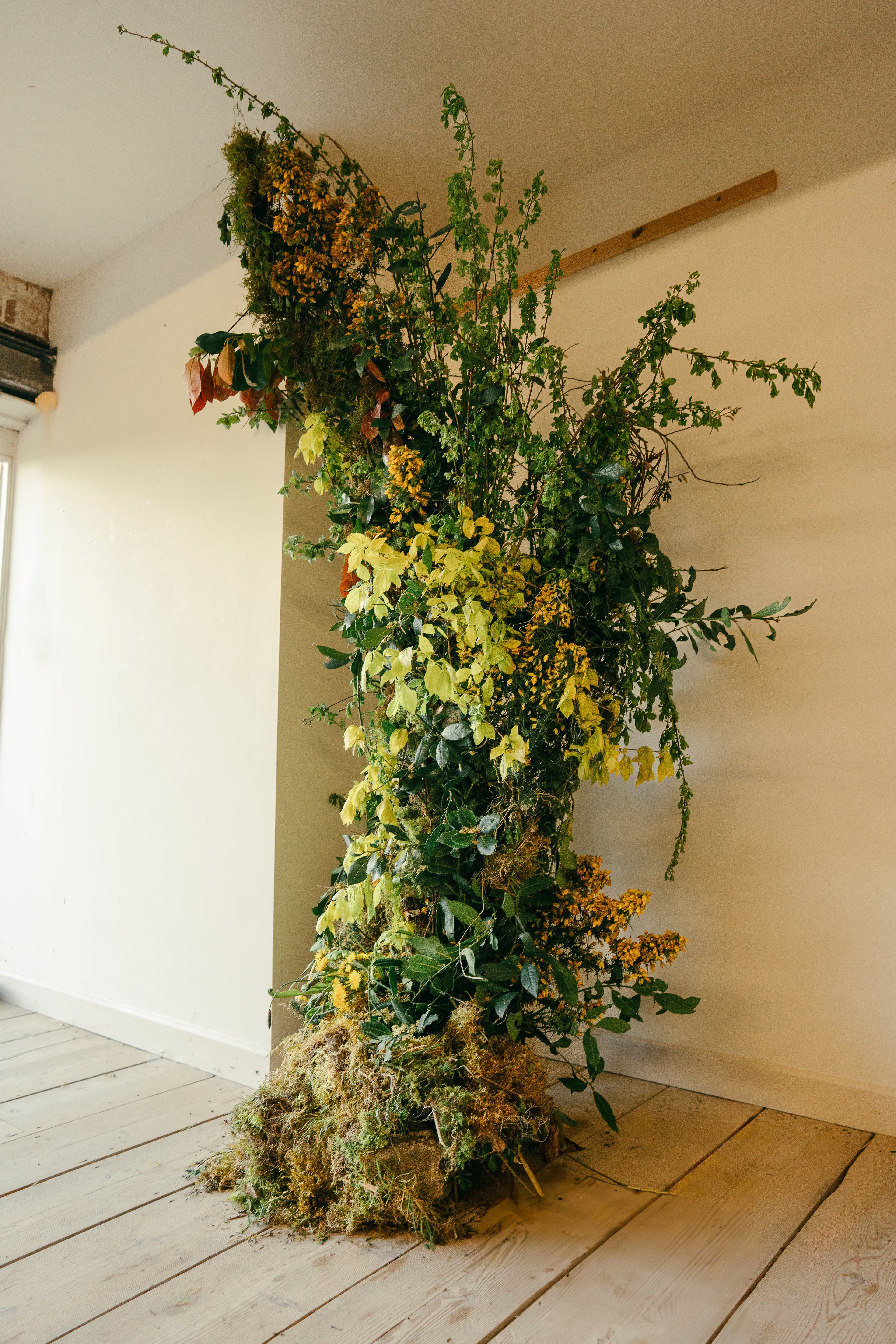 Window Display
